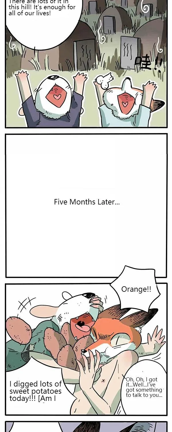 The Loser-fox orange - Page 6