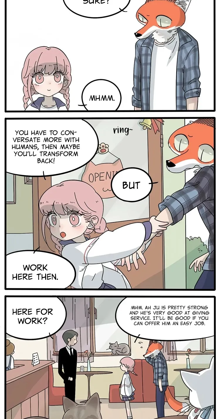 The Loser-fox orange - Page 1