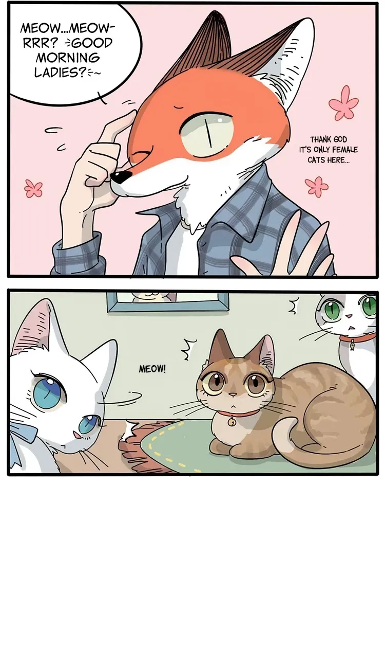 The Loser-fox orange - Page 3