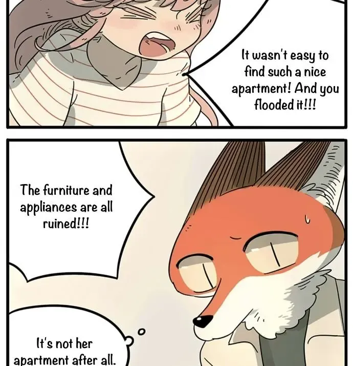 The Loser-fox orange - Page 3