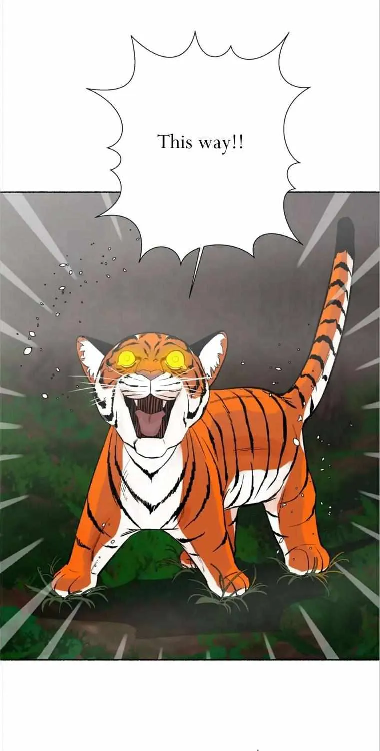 The Millennial Tiger - - Page 11