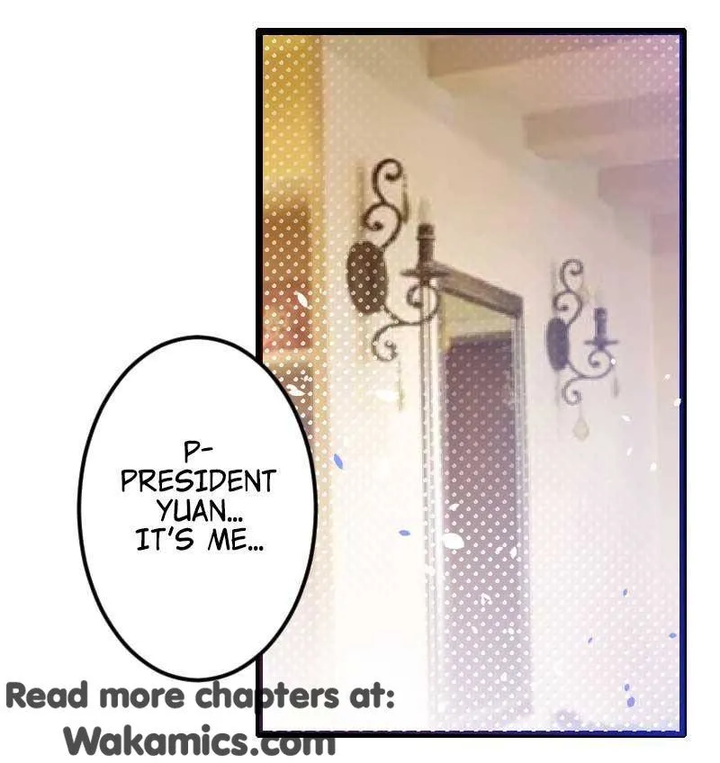 The President’S Private Secretary Chapter 28 page 13 - MangaKakalot