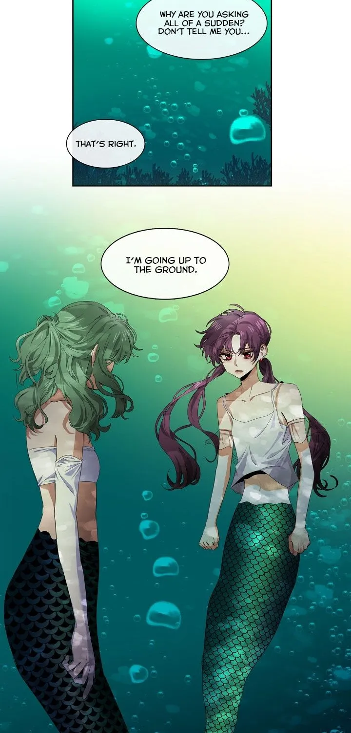 The Spring of the Sea Chapter 1 page 62 - MangaNato