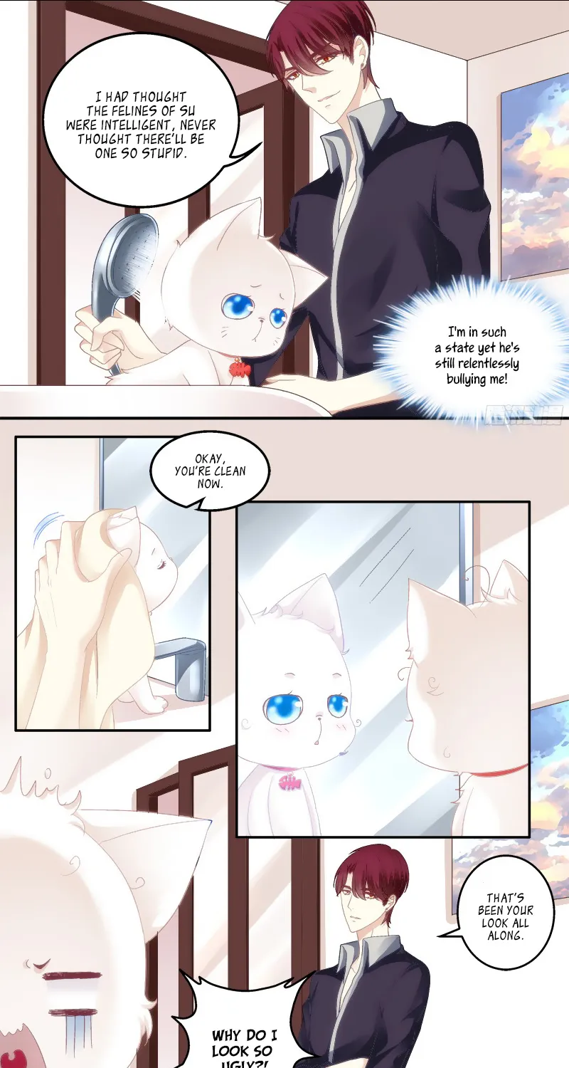 The Temptation Of A Cat Demon Chapter 1 page 30 - MangaKakalot