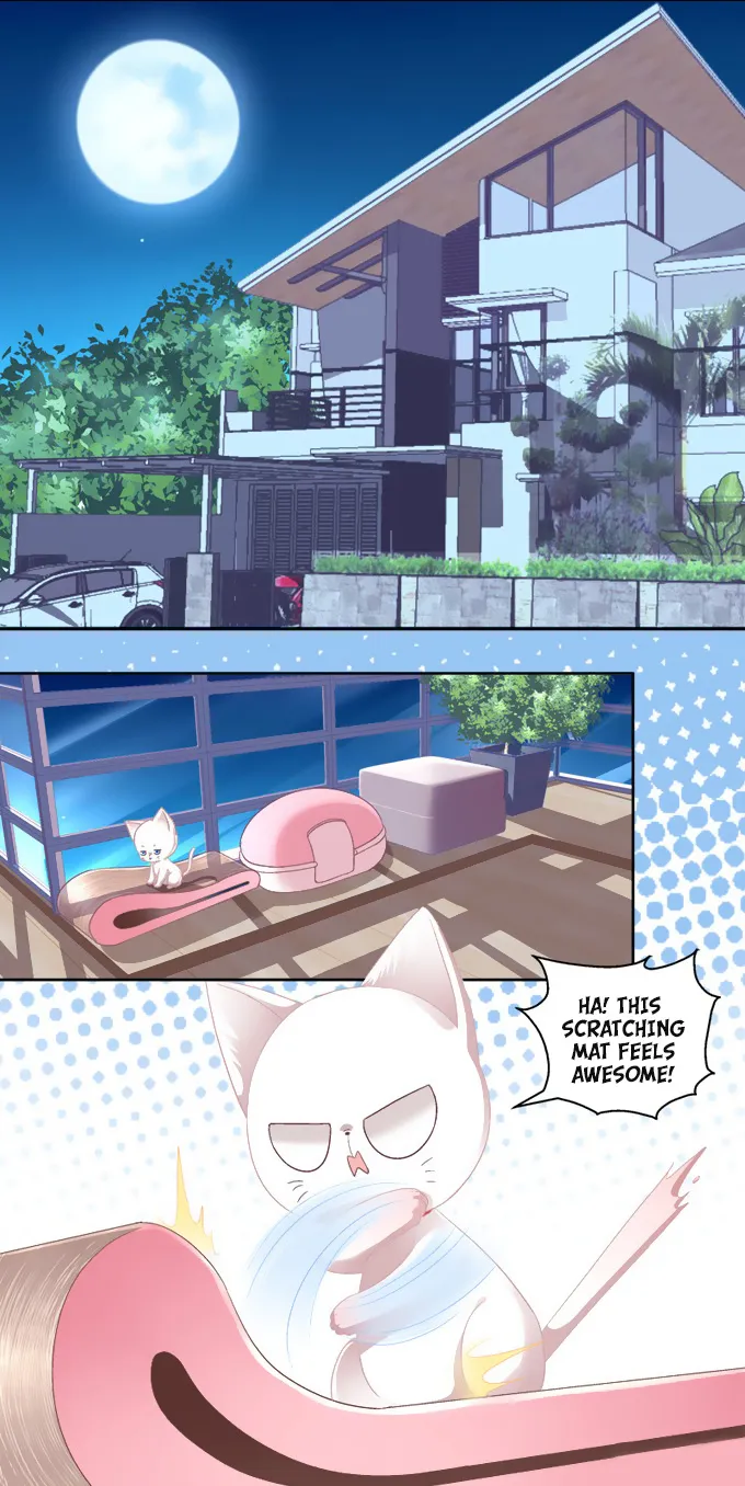 The Temptation Of A Cat Demon Chapter 2 page 5 - MangaKakalot