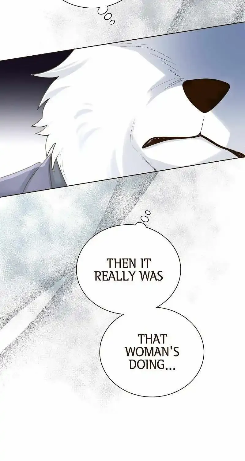 The White Wolf’s Bride Chapter 34 page 47 - MangaNato