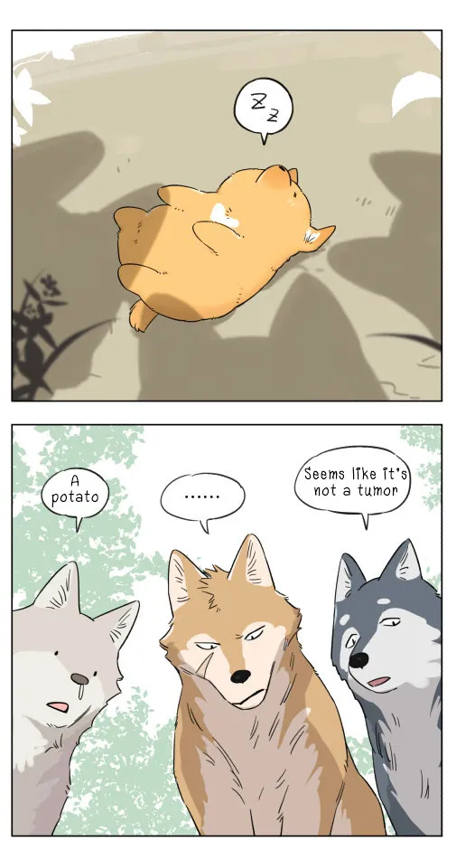 The Wolf That Picked Something Up - Page 4