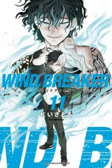 Wind Breaker (Nii Satoru)
                                        class=