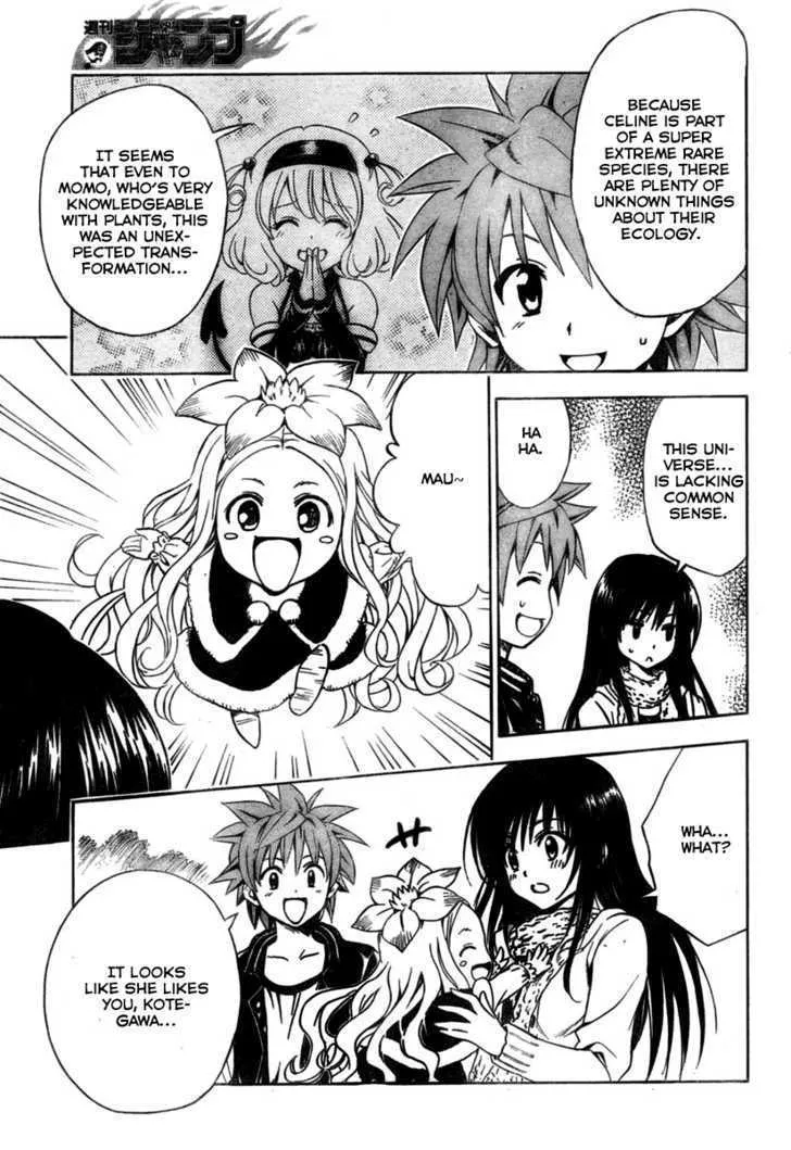 To-Love-Ru - Page 4