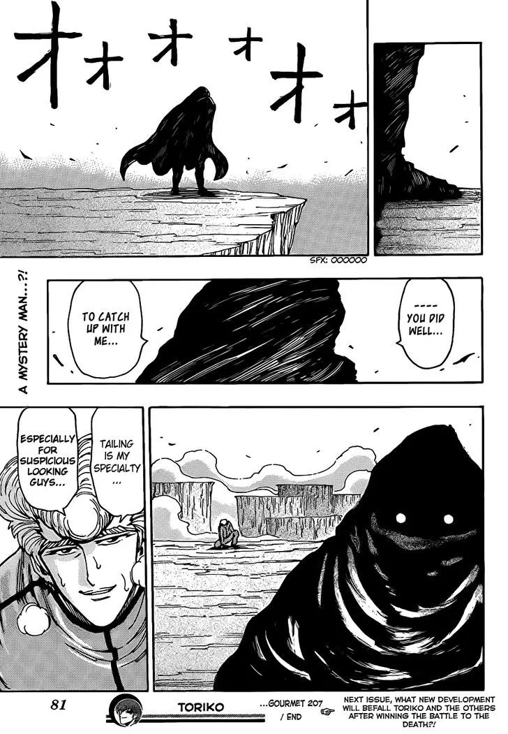 Toriko Chapter 207 page 17 - MangaNato