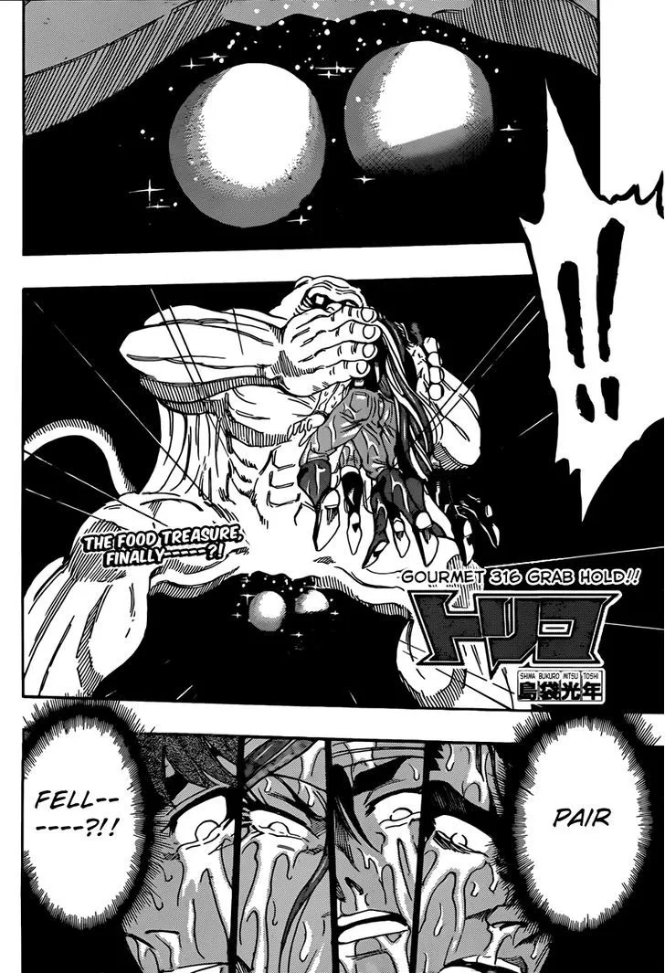 Toriko Chapter 316 page 2 - MangaNato