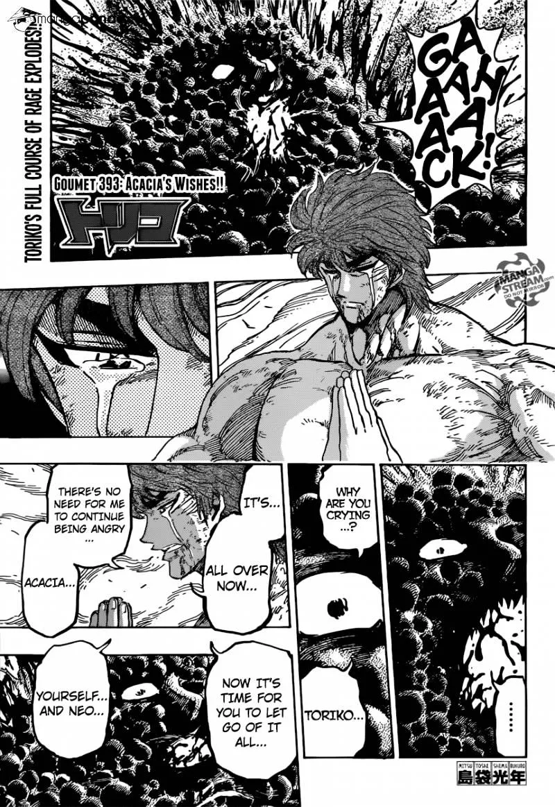 Toriko Chapter 393 page 1 - MangaNato