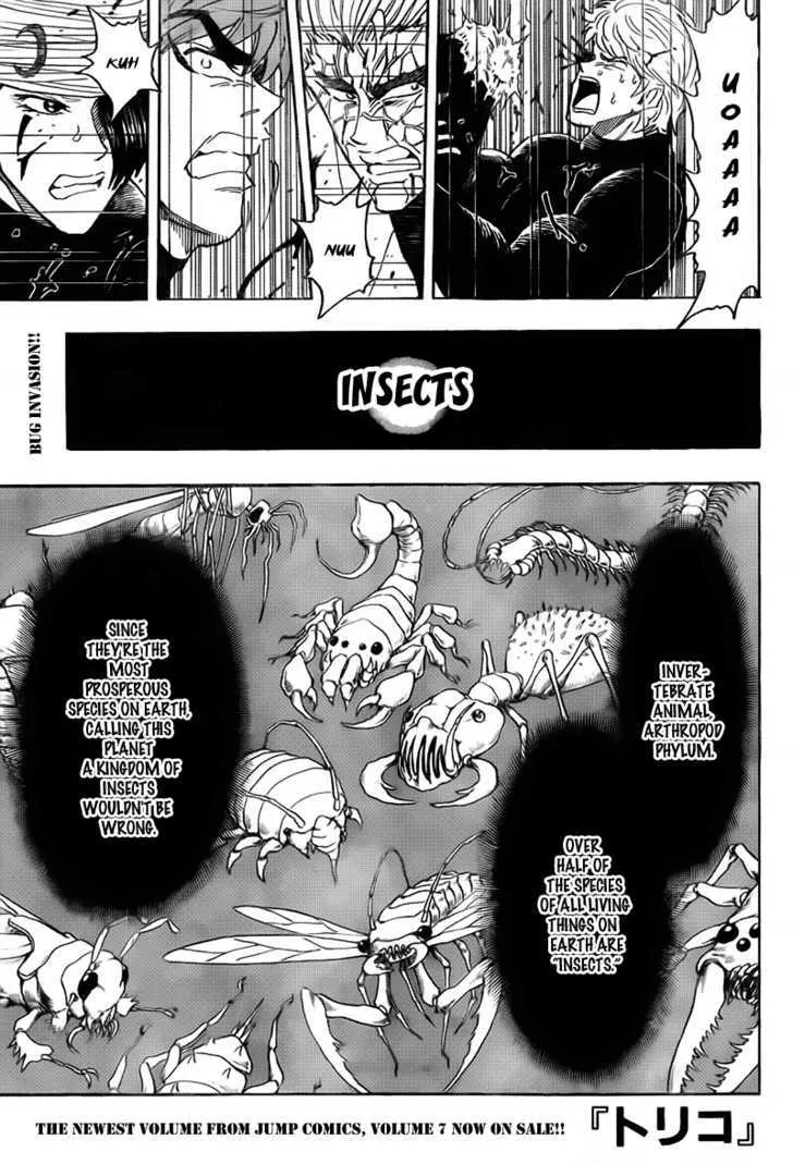 Toriko Chapter 76 page 2 - MangaNato