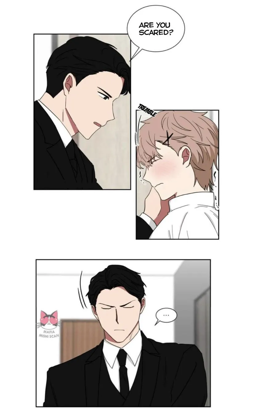 When The Yakuza Falls Inlove - Page 1