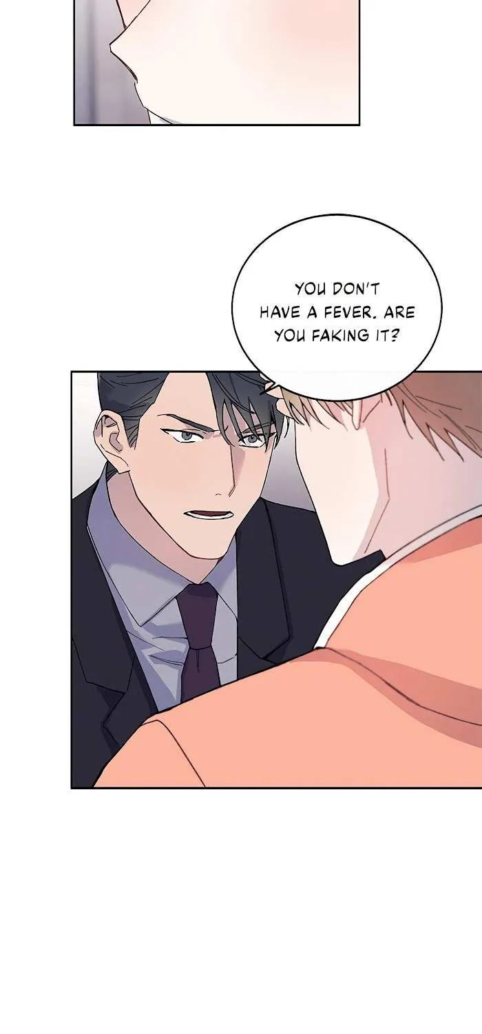 Why not, CEO? Chapter 8 page 19 - MangaKakalot