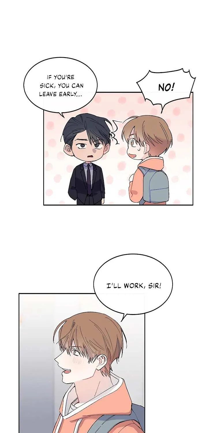 Why not, CEO? Chapter 8 page 20 - MangaKakalot