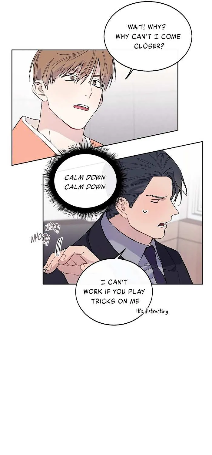 Why not, CEO? Chapter 8 page 41 - MangaKakalot