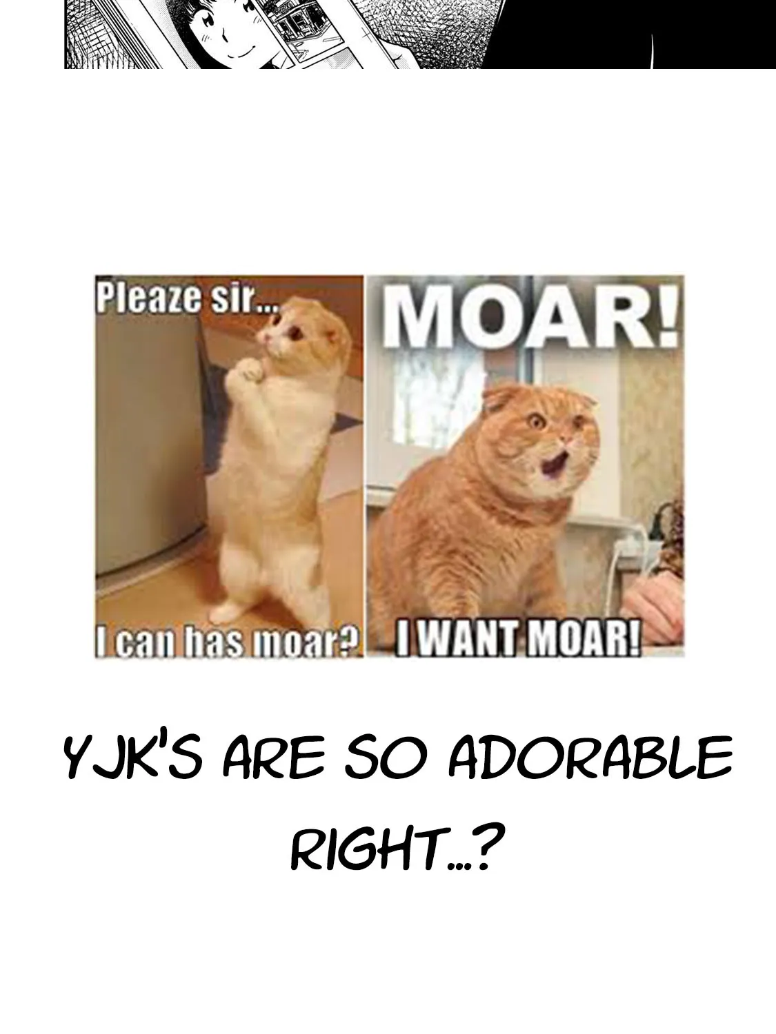 Yjk