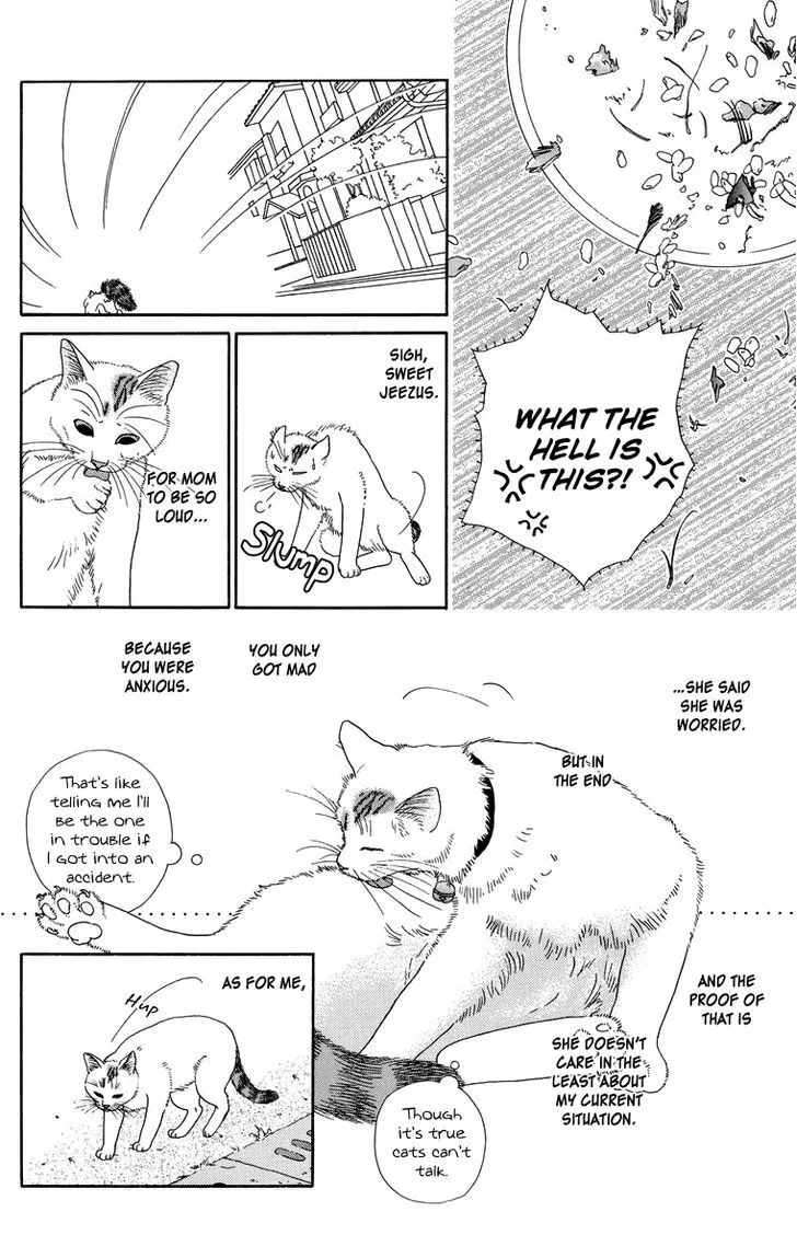 Zoccha no Nichijou - Page 5