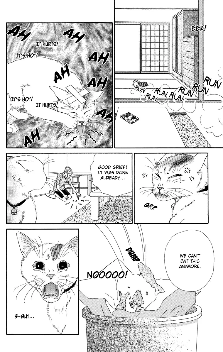 Zoccha no Nichijou - Page 5