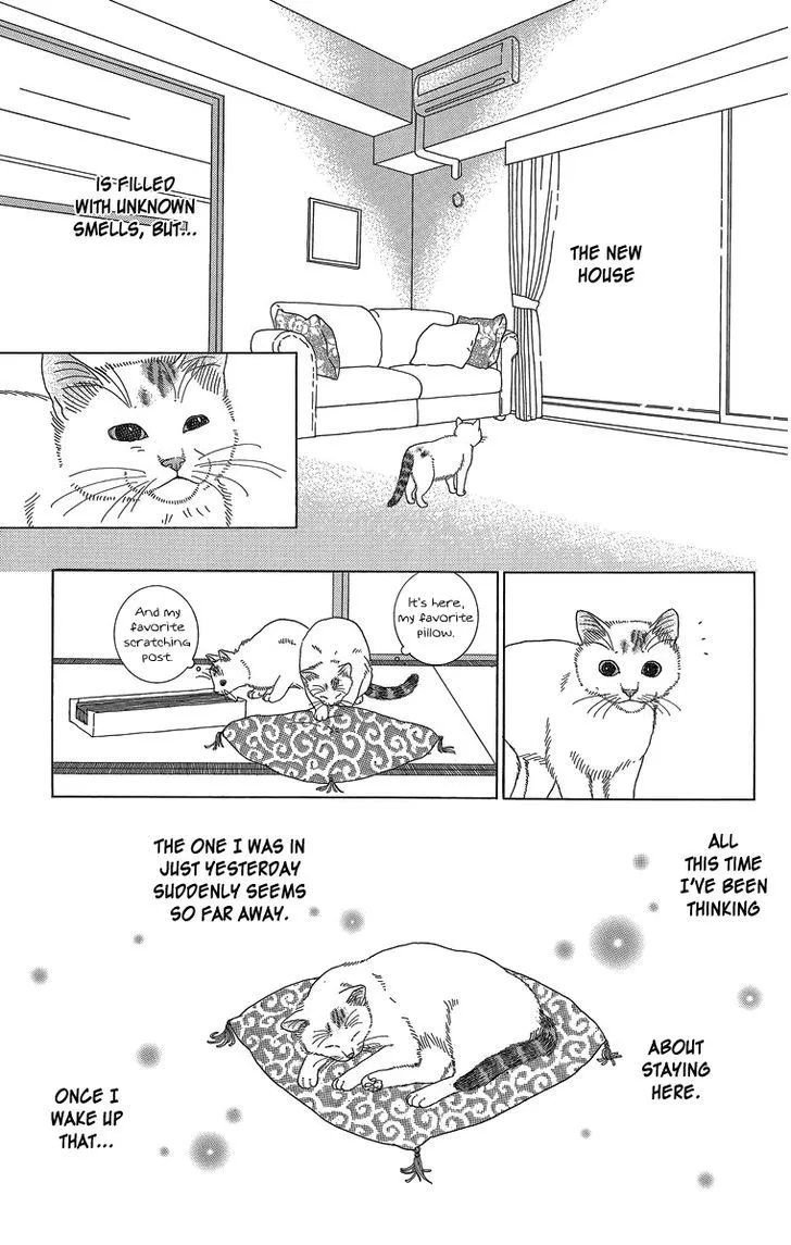 Zoccha no Nichijou - Page 12