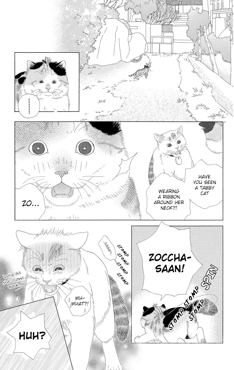 Zoccha no Nichijou - Page 6