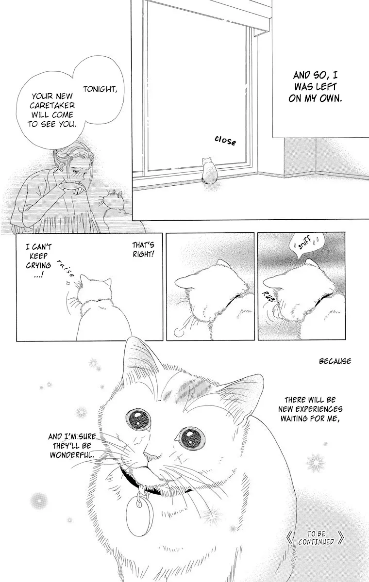 Zoccha no Nichijou - Page 11