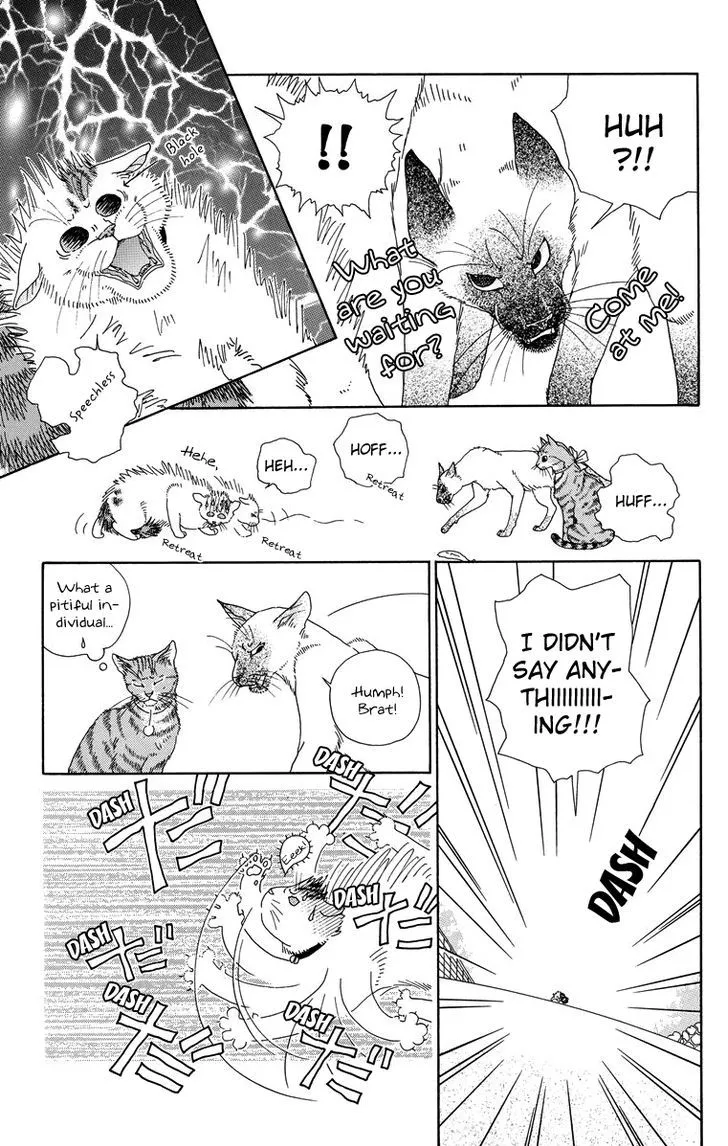 Zoccha no Nichijou - Page 8