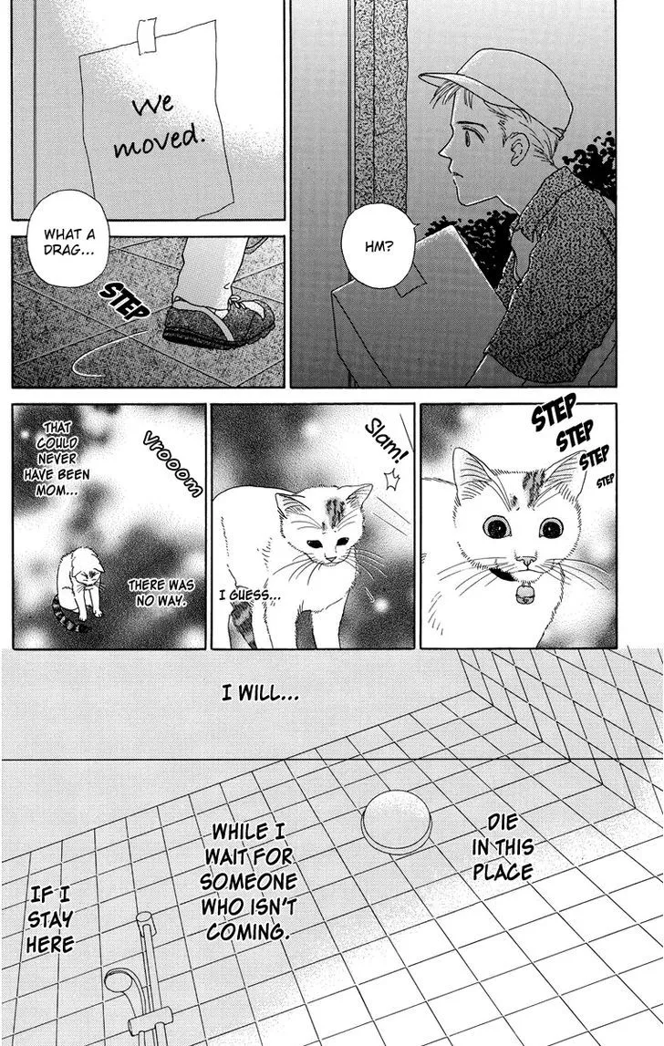 Zoccha no Nichijou - Page 7