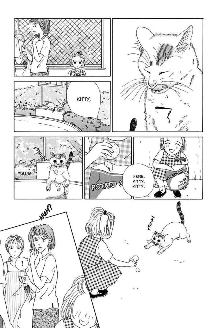 Zoccha no Nichijou - Page 8